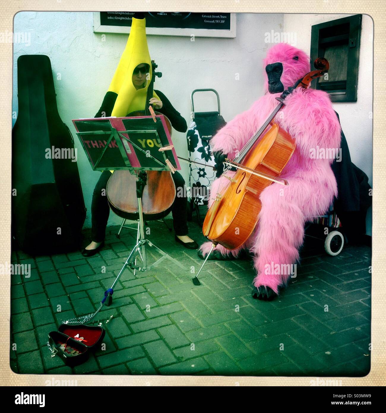 Buskers dressed as a banana & a pink gorilla perform classical music on cellos in Truro City centre, Cornwall, UK. Stock Photo