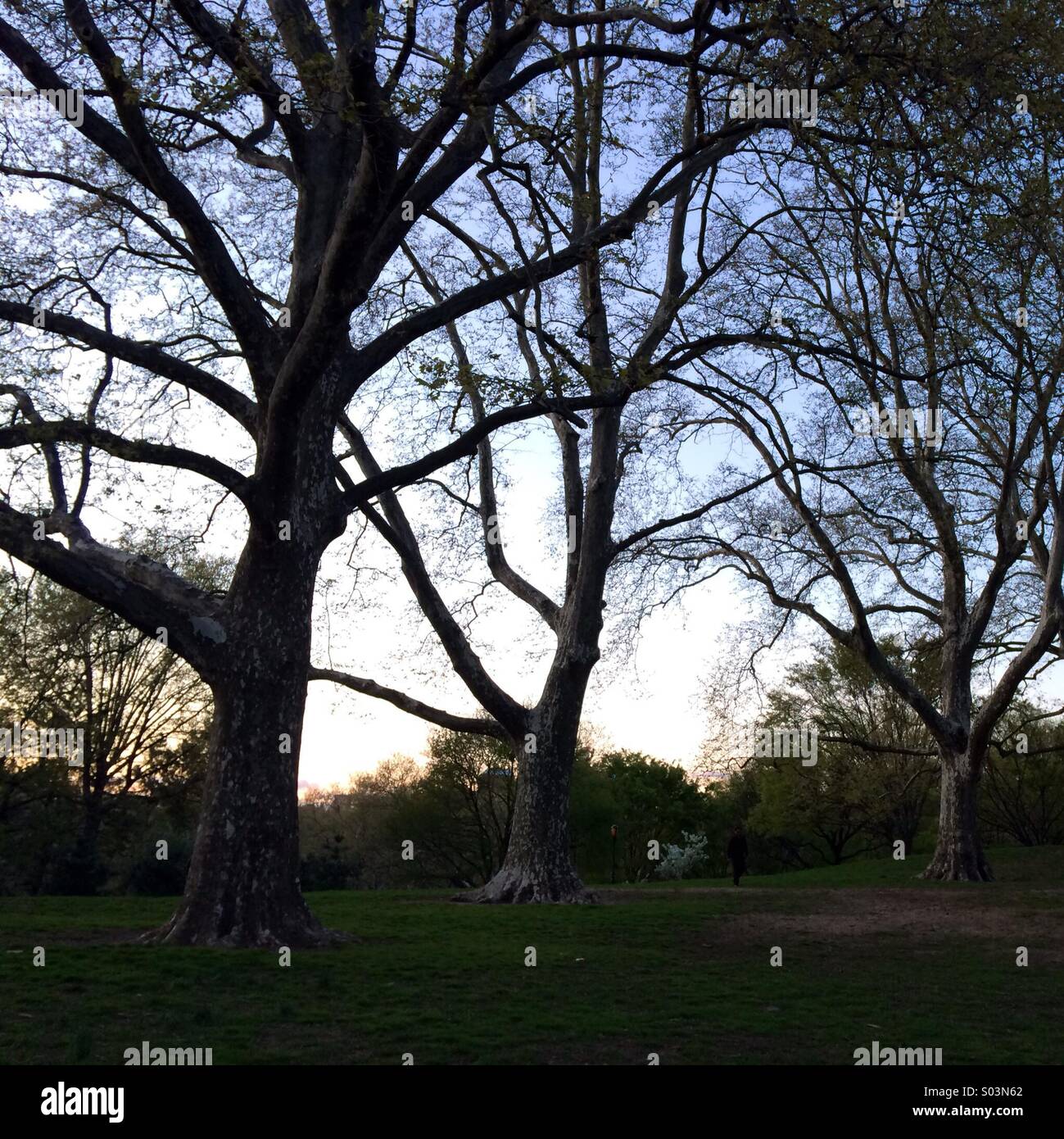 Fort Greene Park, Brooklyn, NY Stock Photo Alamy