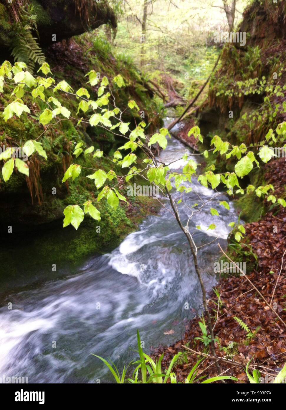 Rushing river in Roslin - Smartphone Captured Stock Image