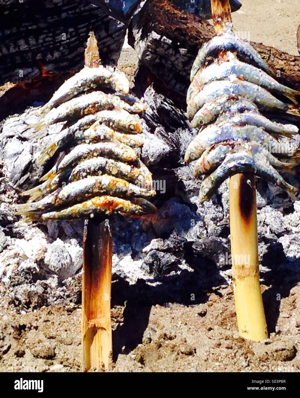 barbecued fish on wooden skewers in southern Spain over a wood barbecue - Smartphone Captured Stock Image