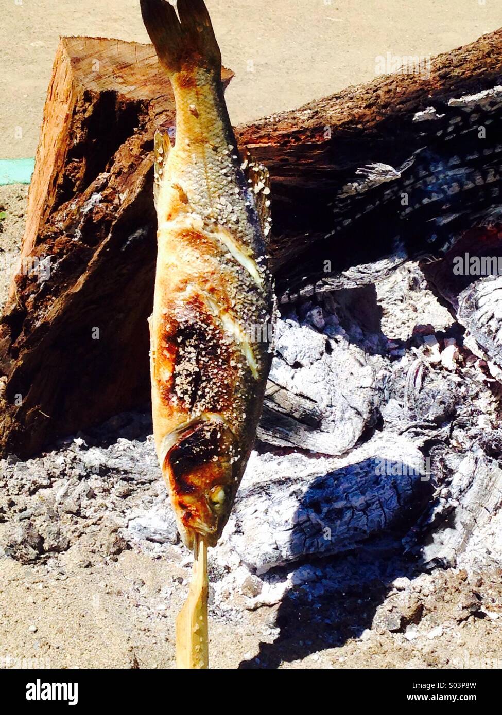 Fish barbeque  over an open fire charcoal embers southern Spain - Smartphone Captured Stock Image