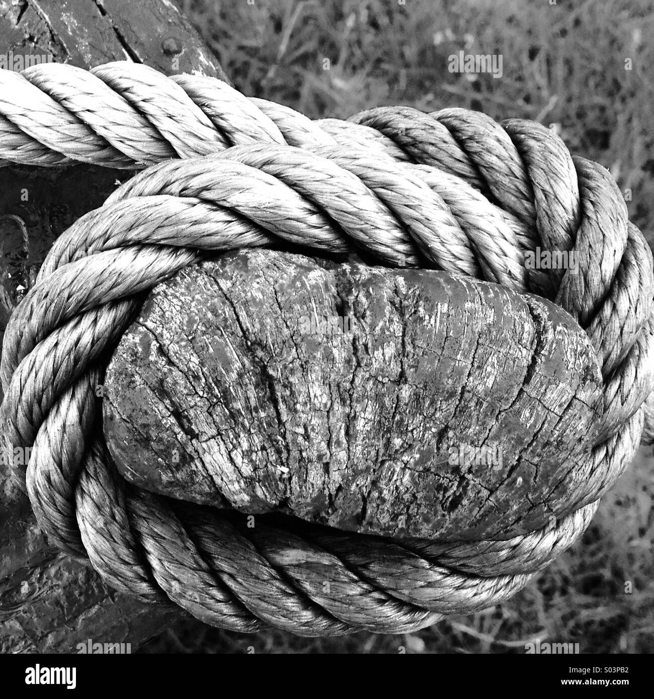 Rope tied around wooden post - Smartphone Captured Stock Image