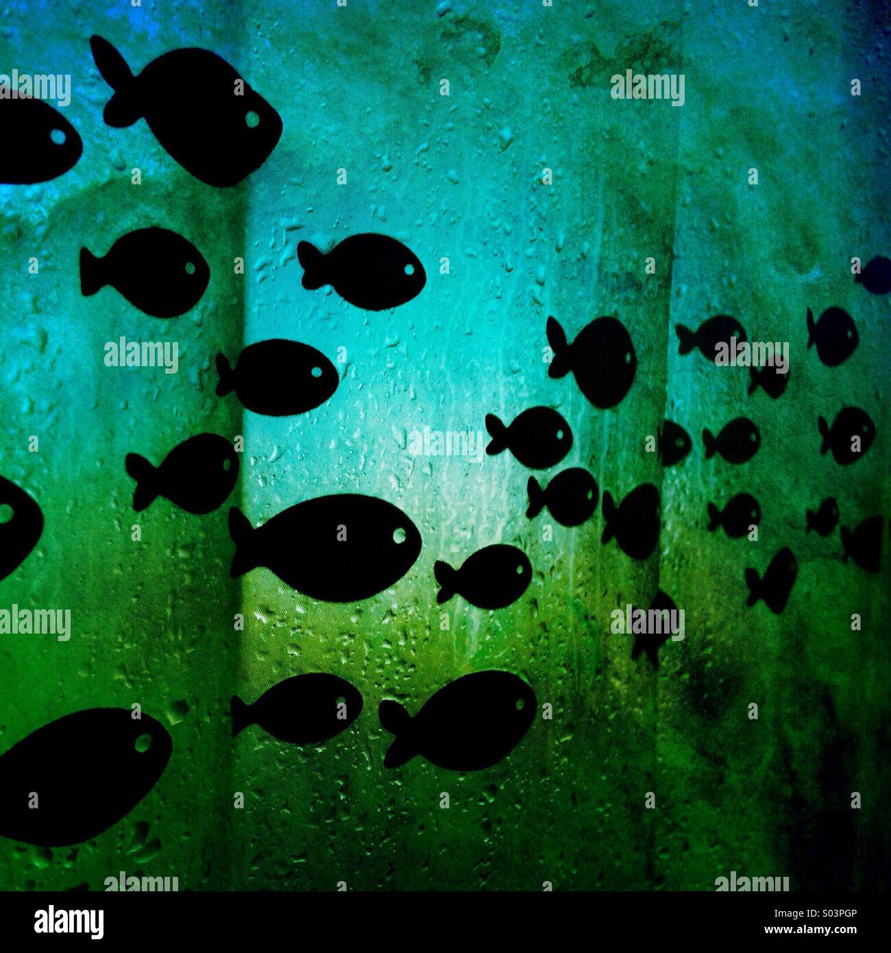 Shower curtain with fish school pattern Stock Photo