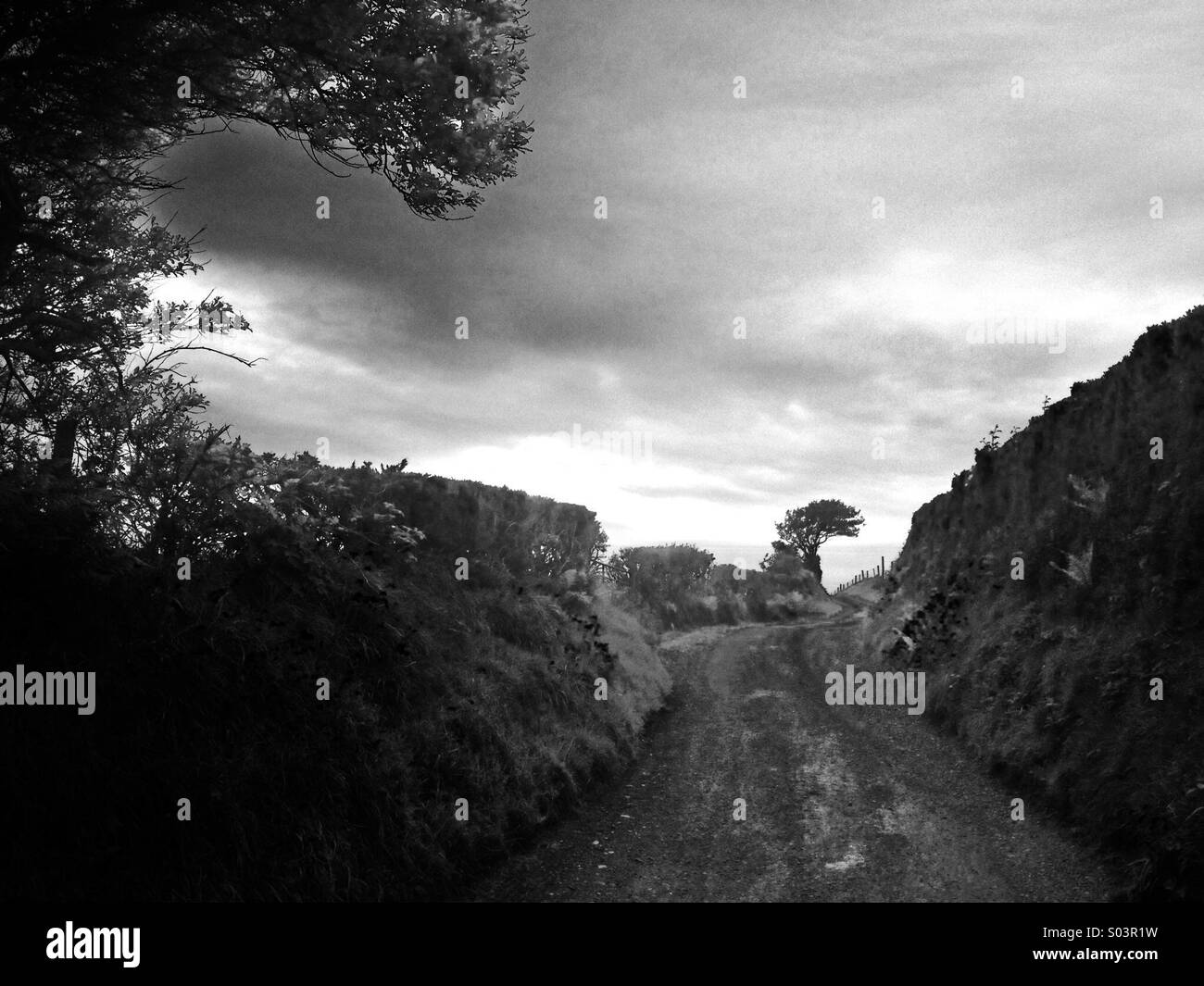 Rural Irish lane in Donegal - Smartphone Captured Stock Image Rural Irish lane in Donegal - Smartphone Captured Stock Image