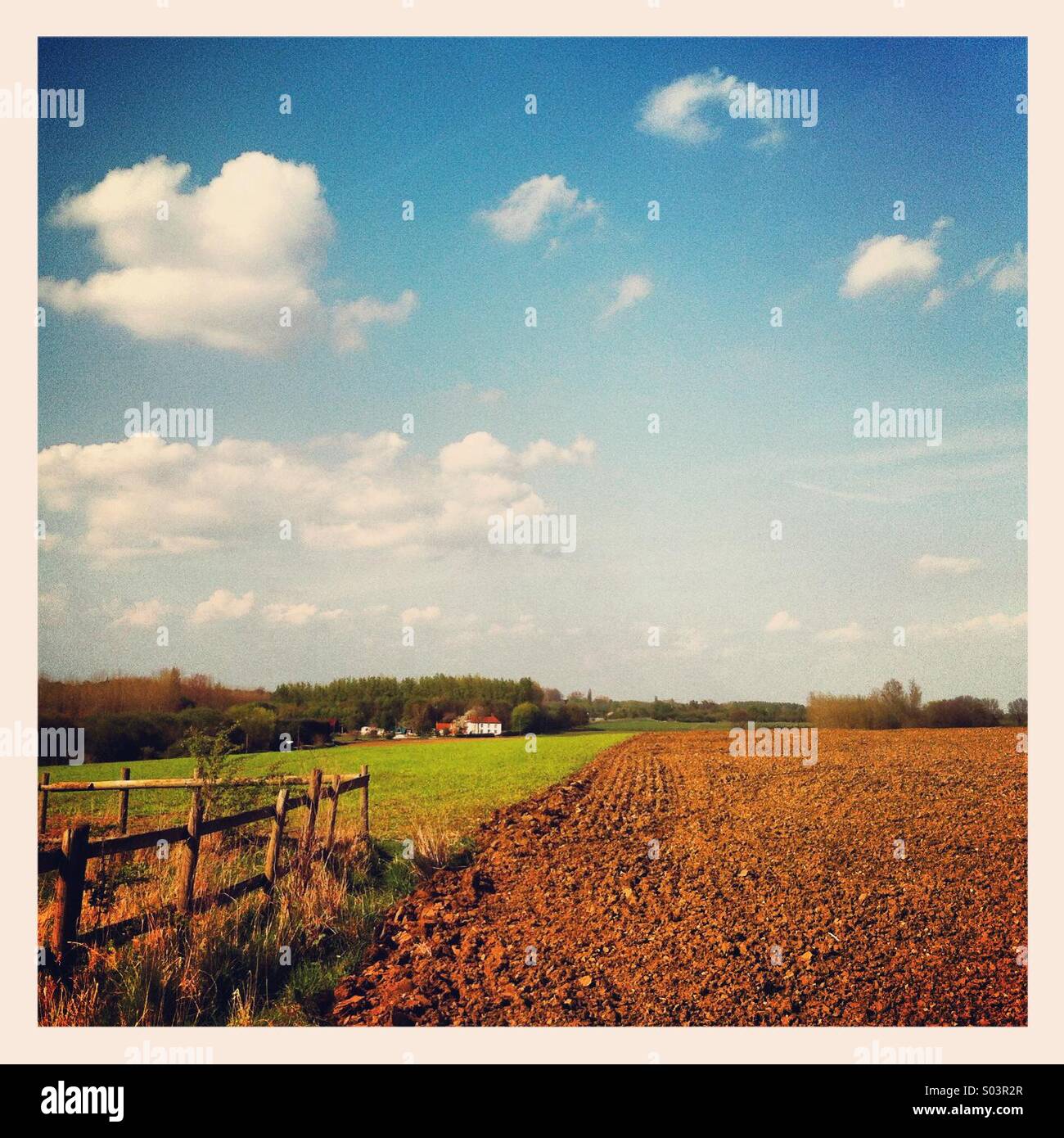 Essex Farm Land Stock Photo Alamy