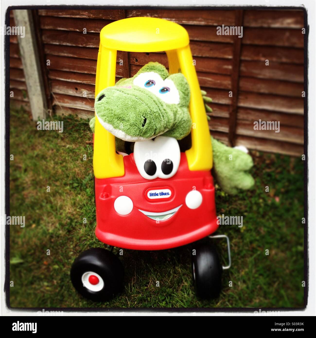 Crocodile in a car Stock Photo Alamy