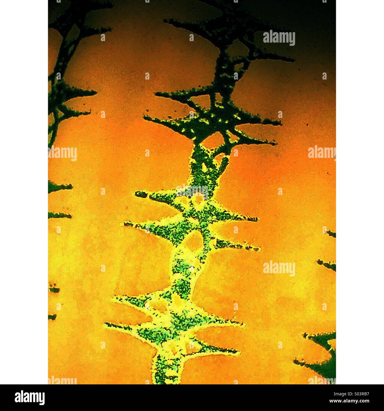 Retro design on 1970's glass light shade - Smartphone Captured Stock Image