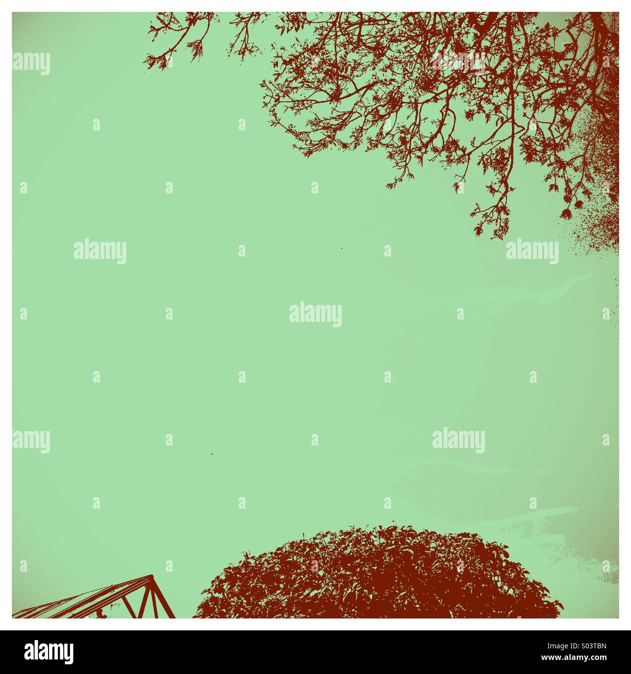 Greenhouse apple tree and hanging branches - Smartphone Captured Stock Image