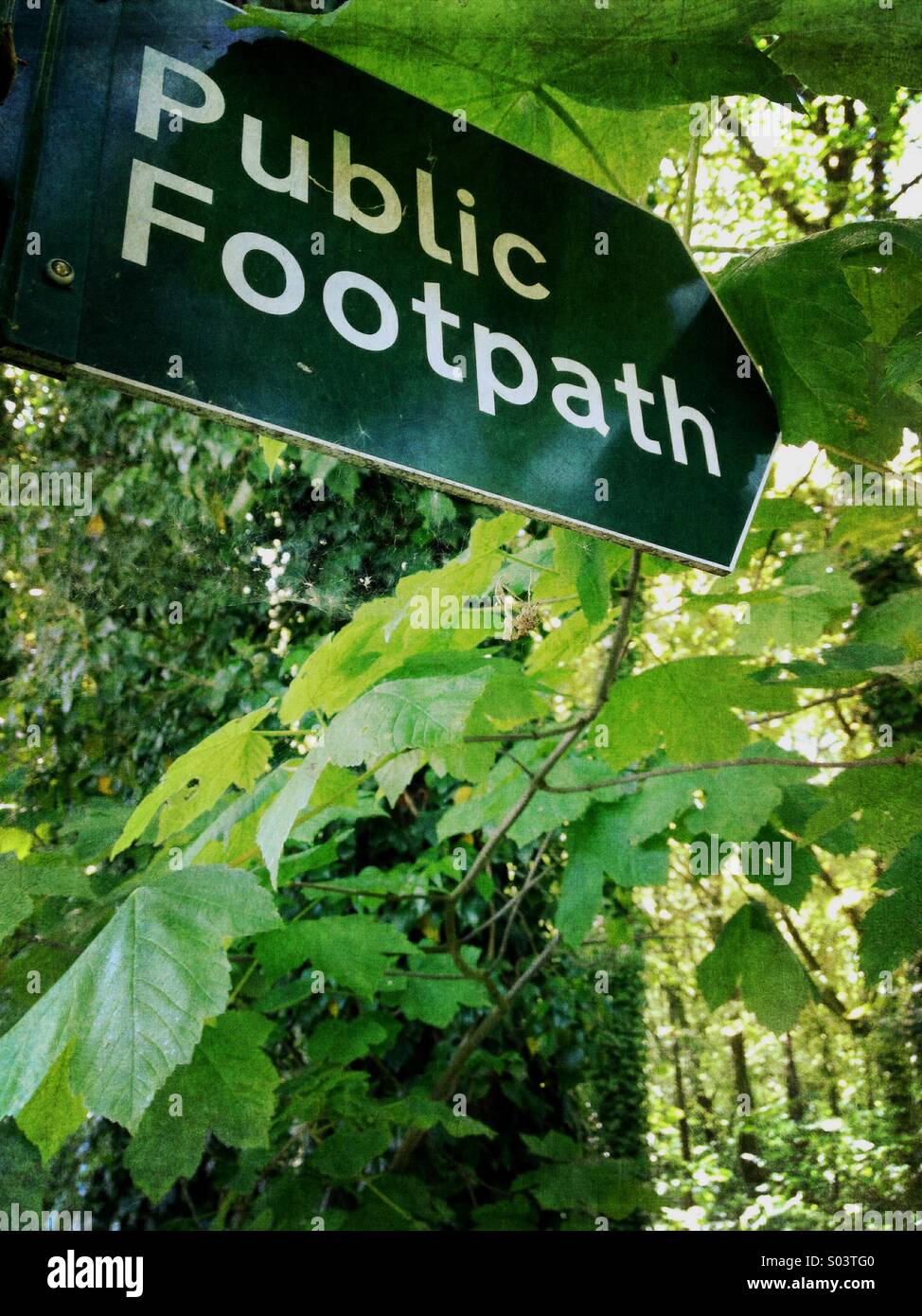 Public footpath sign in woods - Smartphone Captured Stock Image