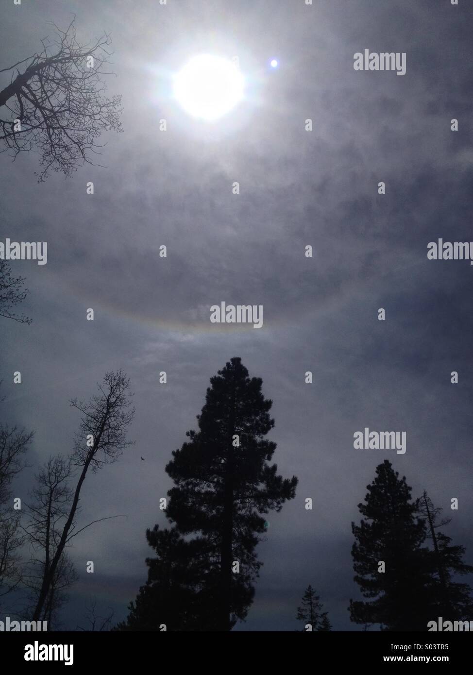 On my hike I looked up to see a huge sun bow. Or rainbow to some. Stock Photo
