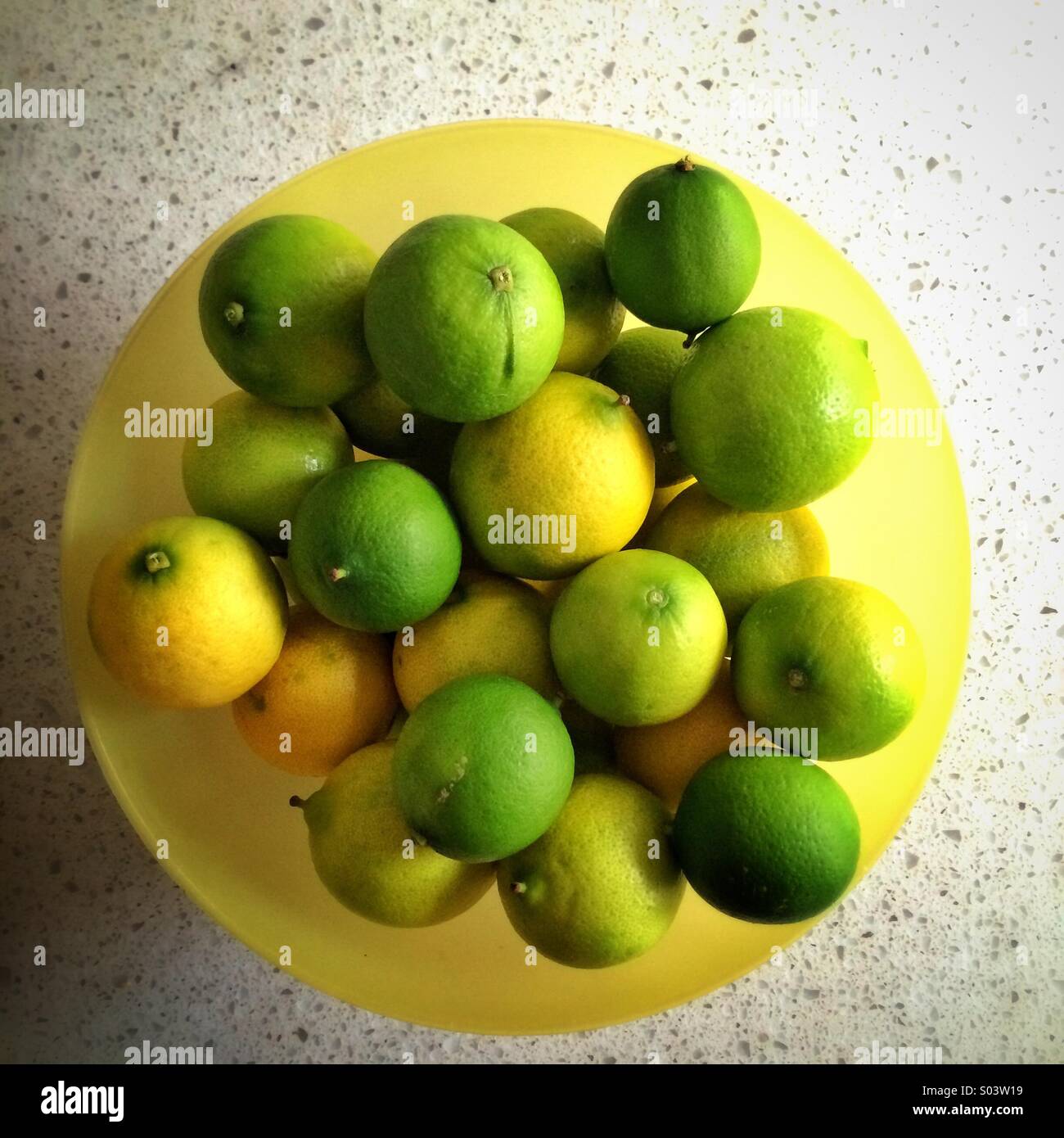 Yellow bowl of limes Stock Photo Alamy