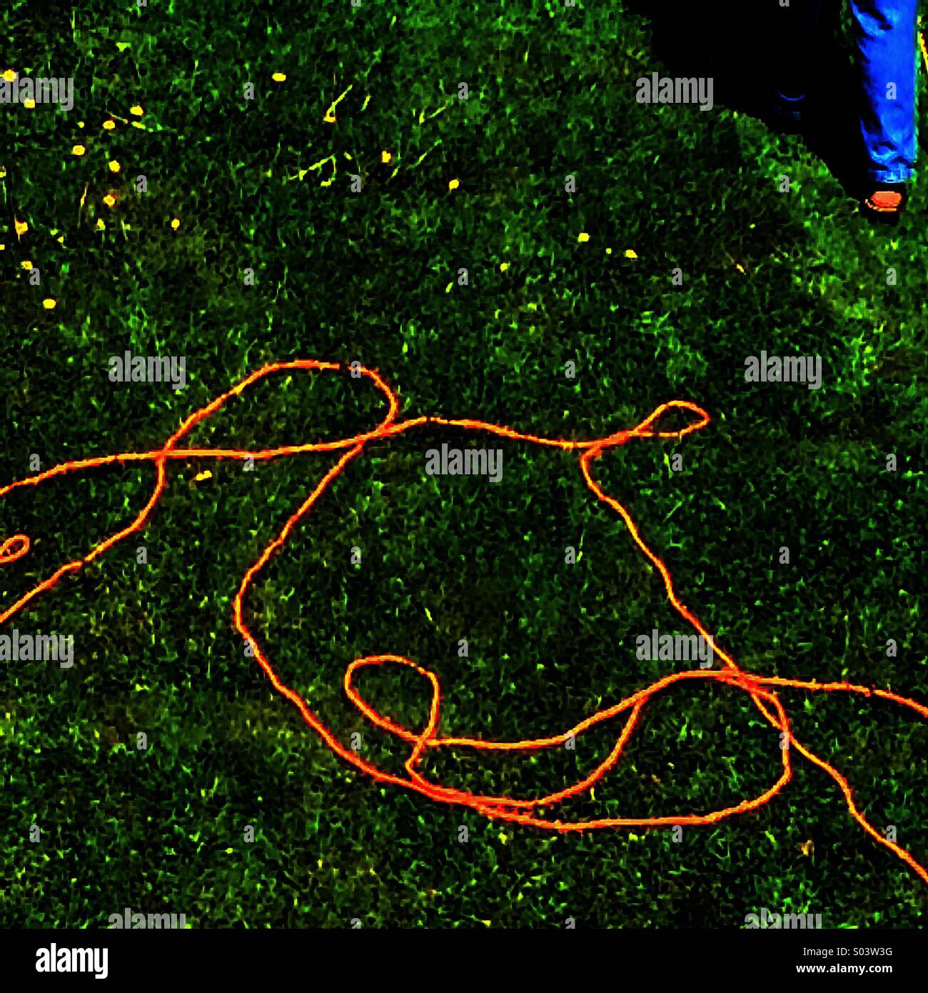 Mowing the grass - Smartphone Captured Stock Image