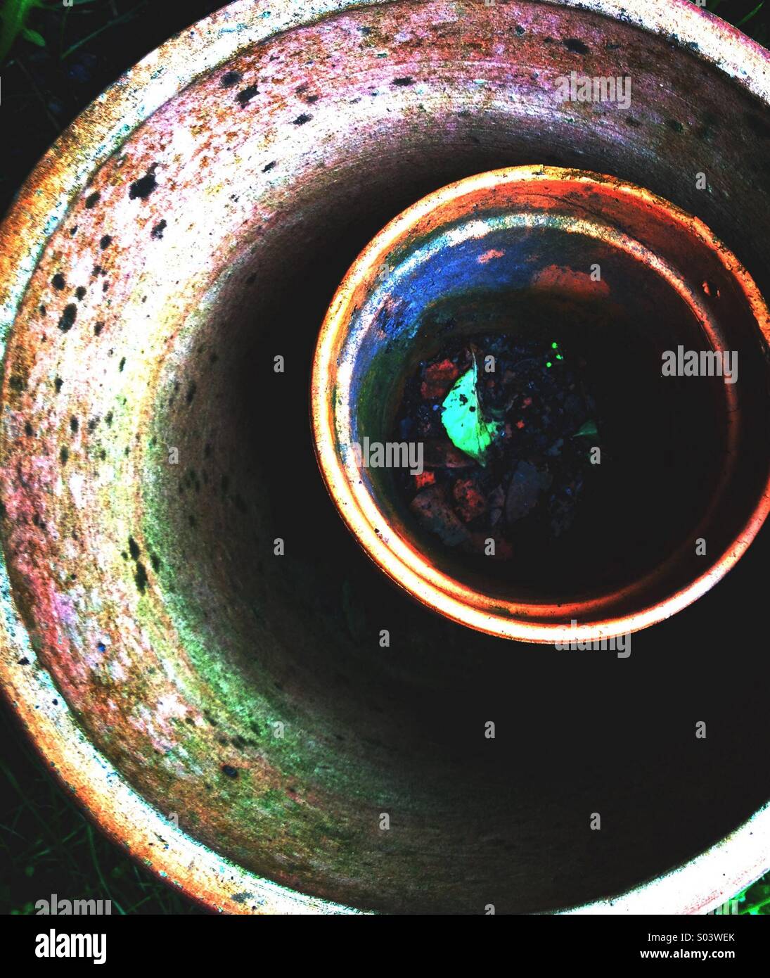 Flower Pots - Smartphone Captured Stock Image