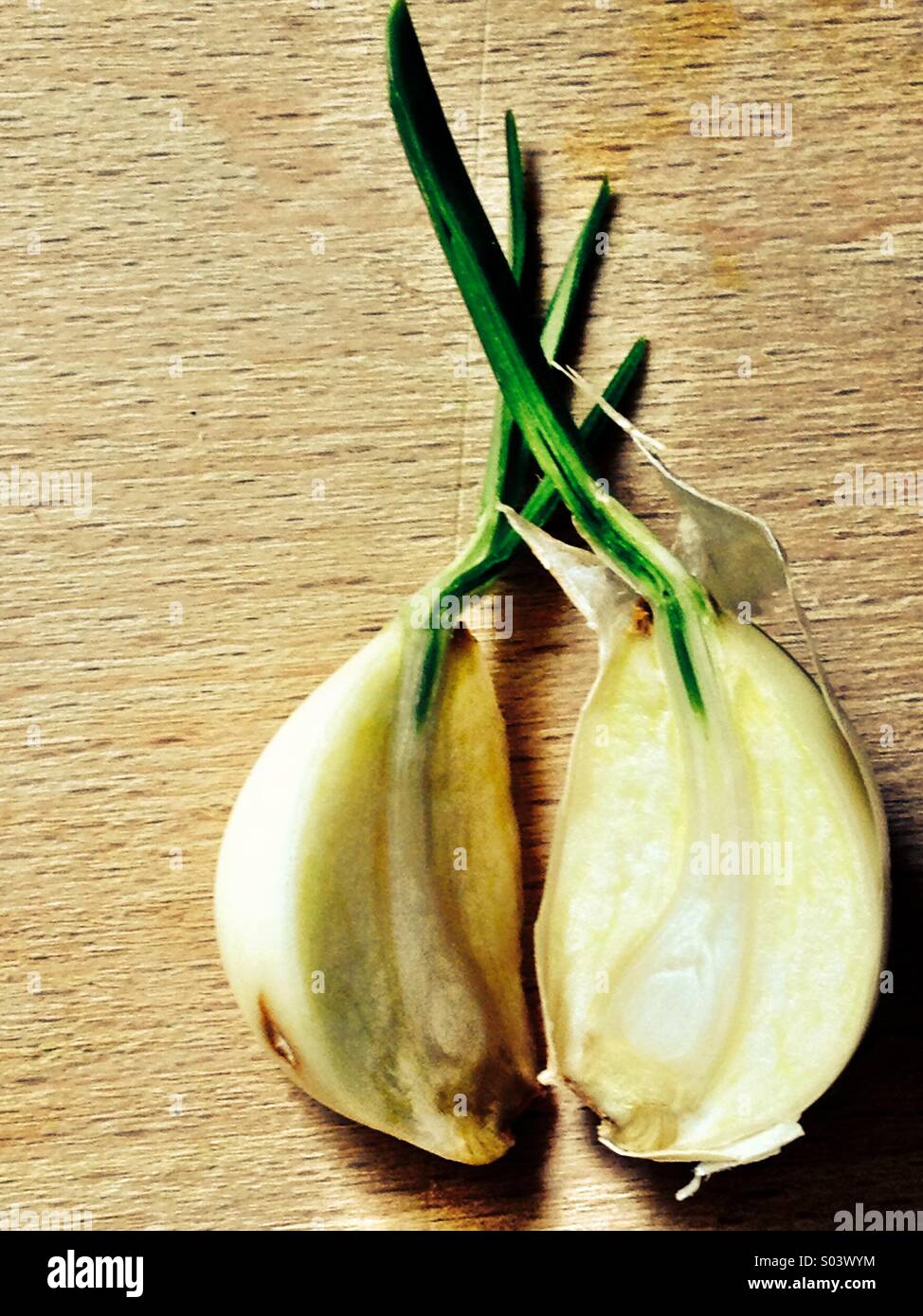Clove of garlic - Smartphone Captured Stock Image