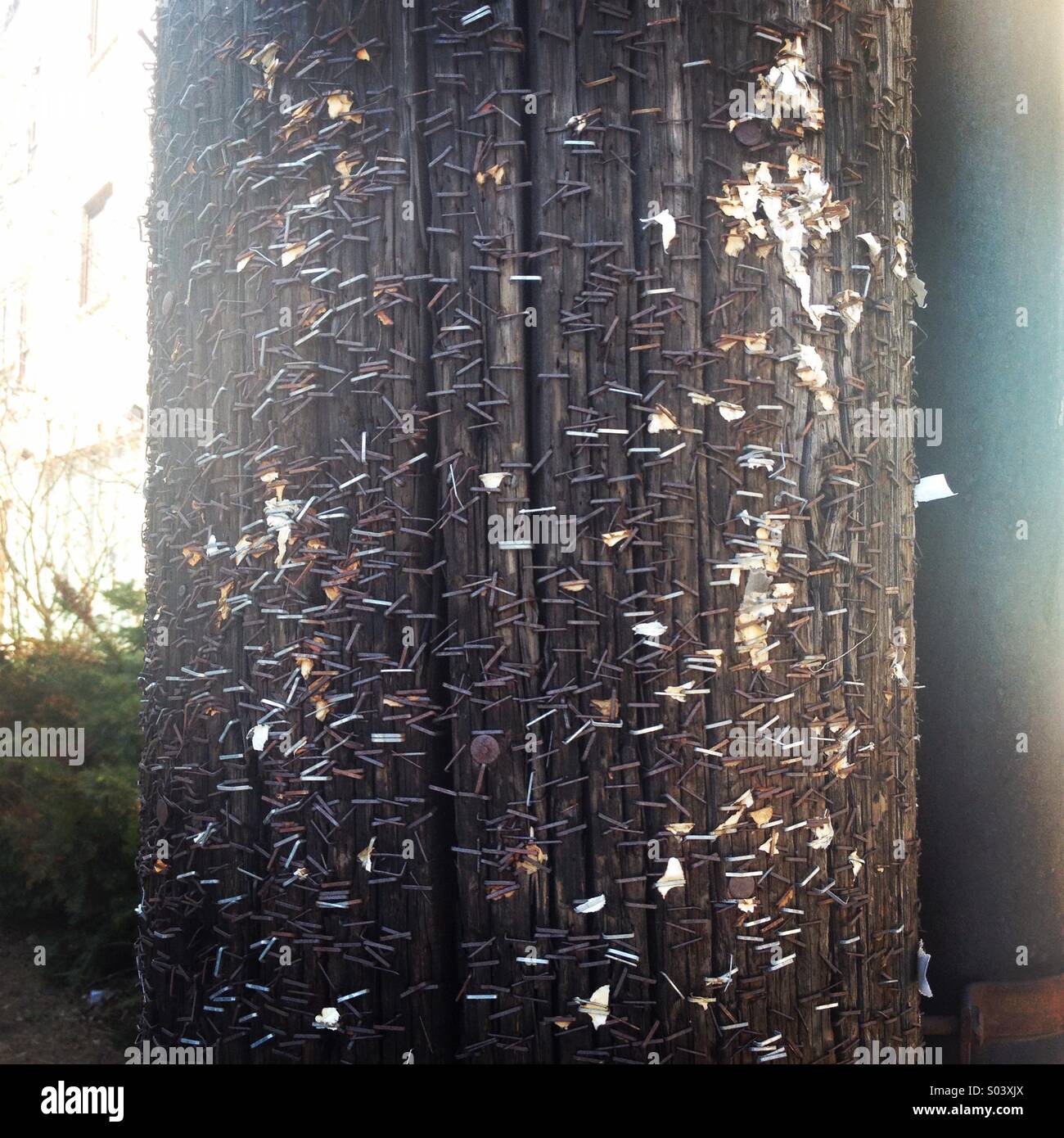 Rusty old staples hires stock photography and images Alamy