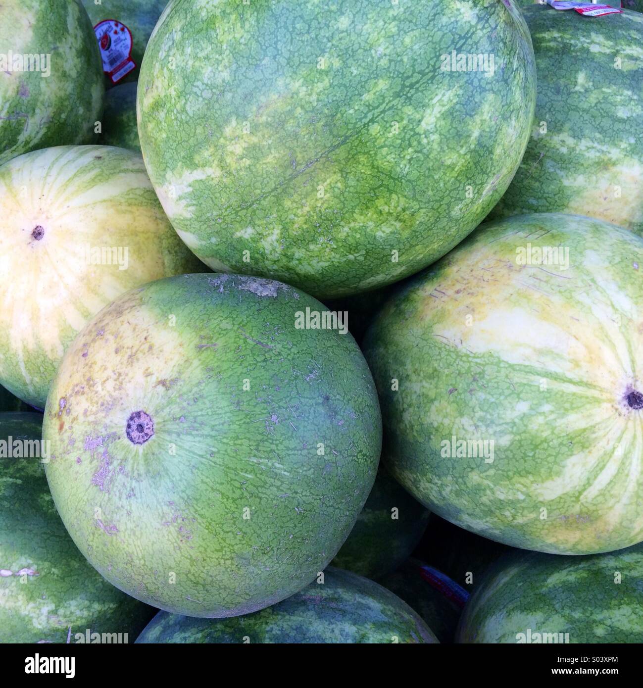 watermelons Stock Photo
