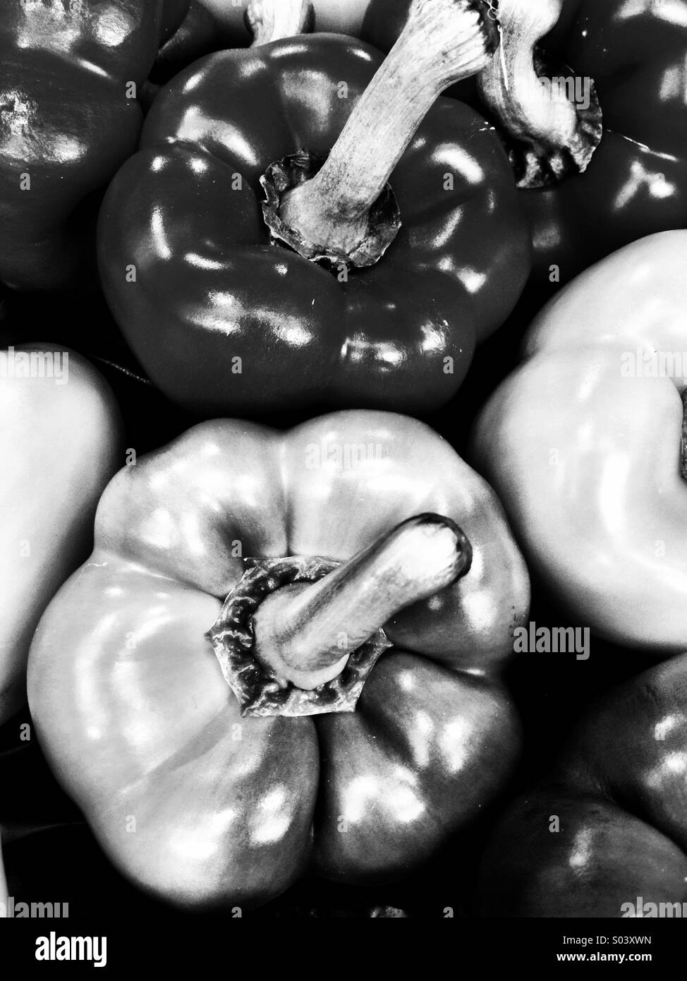 Art pepper Black and White Stock Photos & Images Alamy