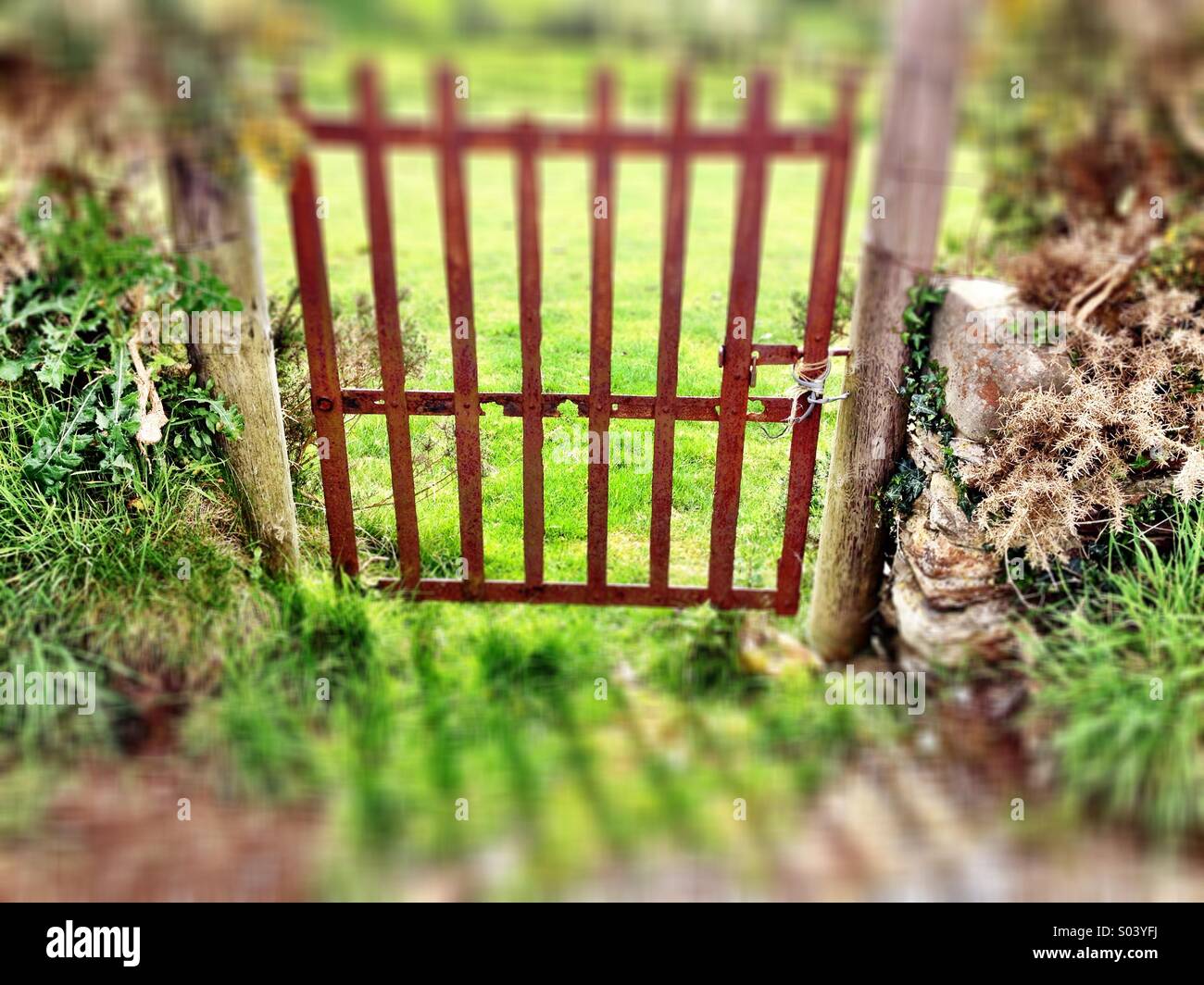 The Gate - Smartphone Captured Stock Image
