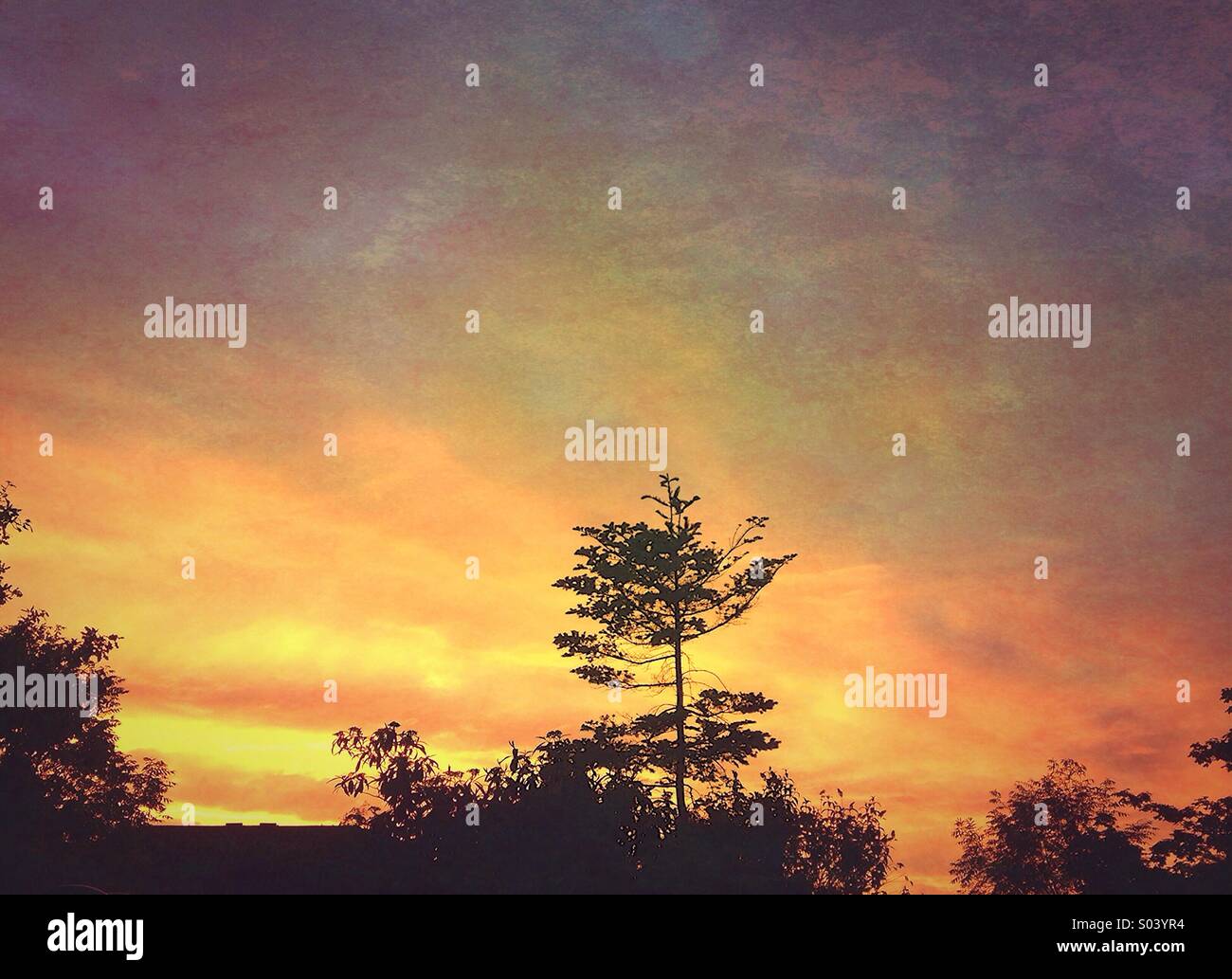 Sky fire sunset hi-res stock photography and images - Alamy