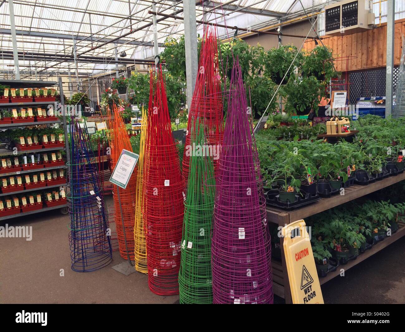 Colourful Tomato Cages and Tomato Plants for sale in a Gardening Centre