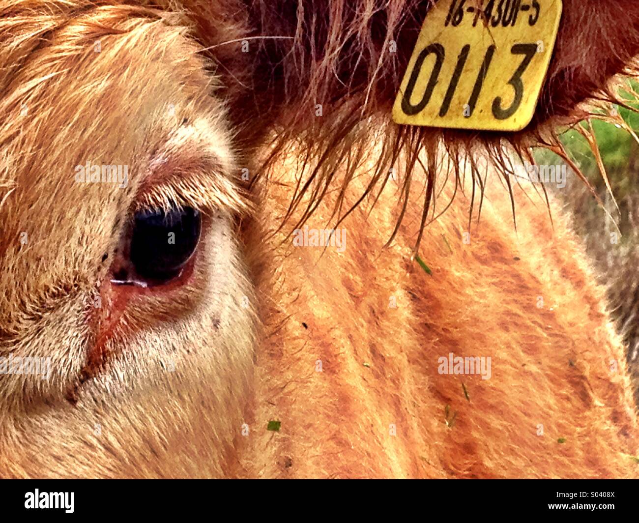 I'm not a number! - Smartphone Captured Stock Image