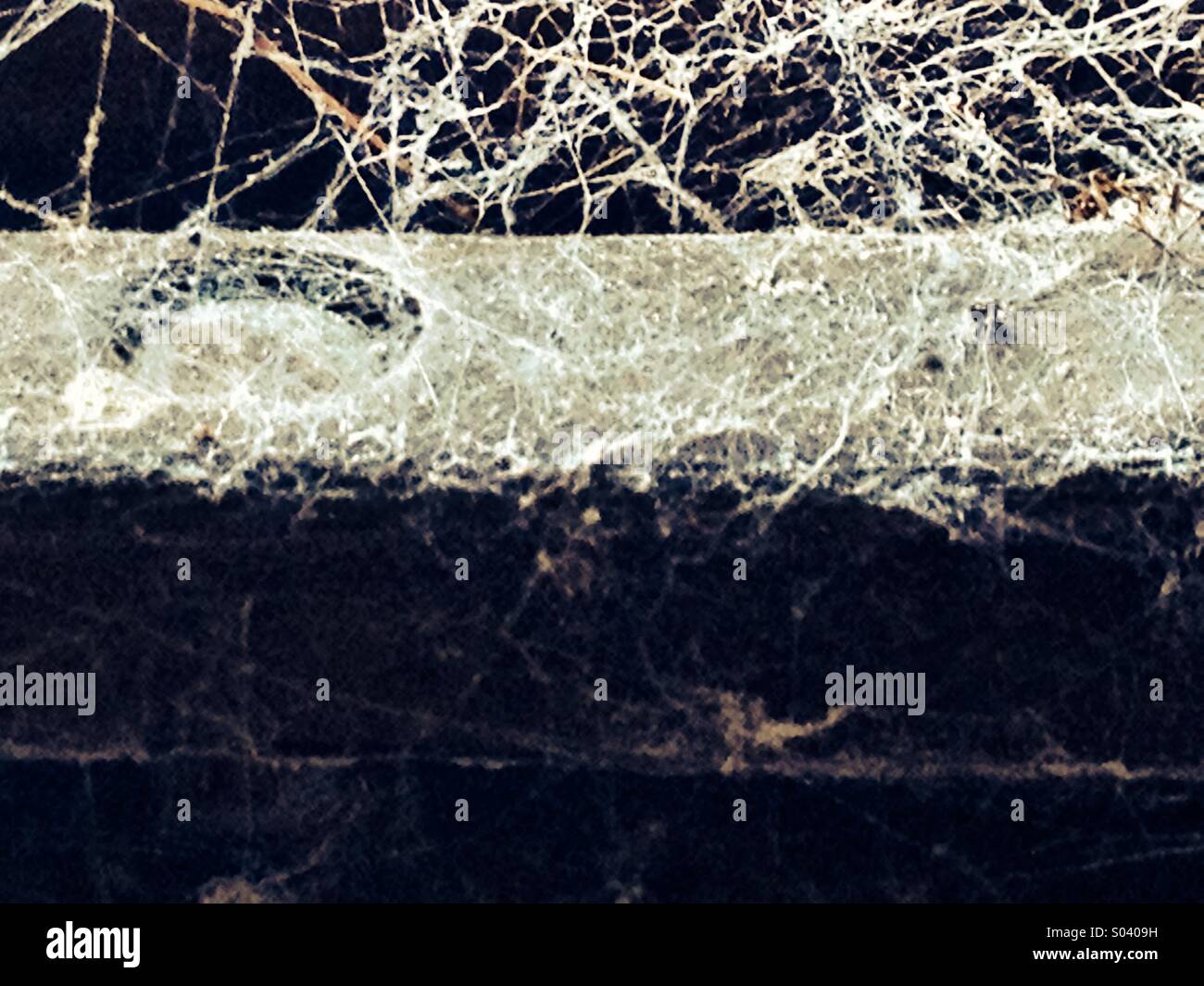 Web of deceit - Smartphone Captured Stock Image