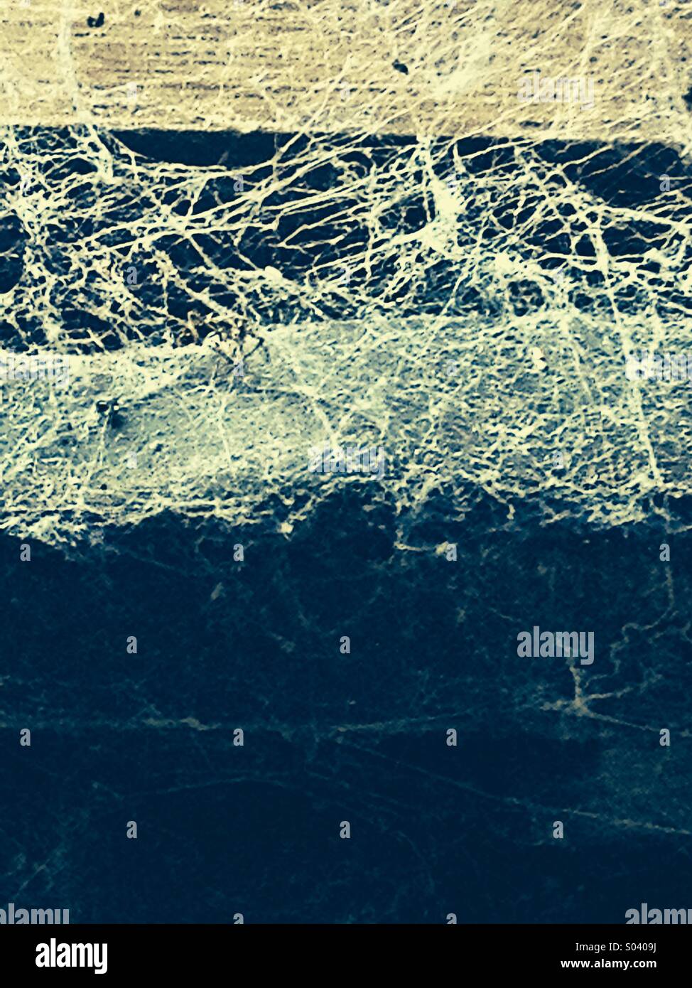 Web in old house - Smartphone Captured Stock Image