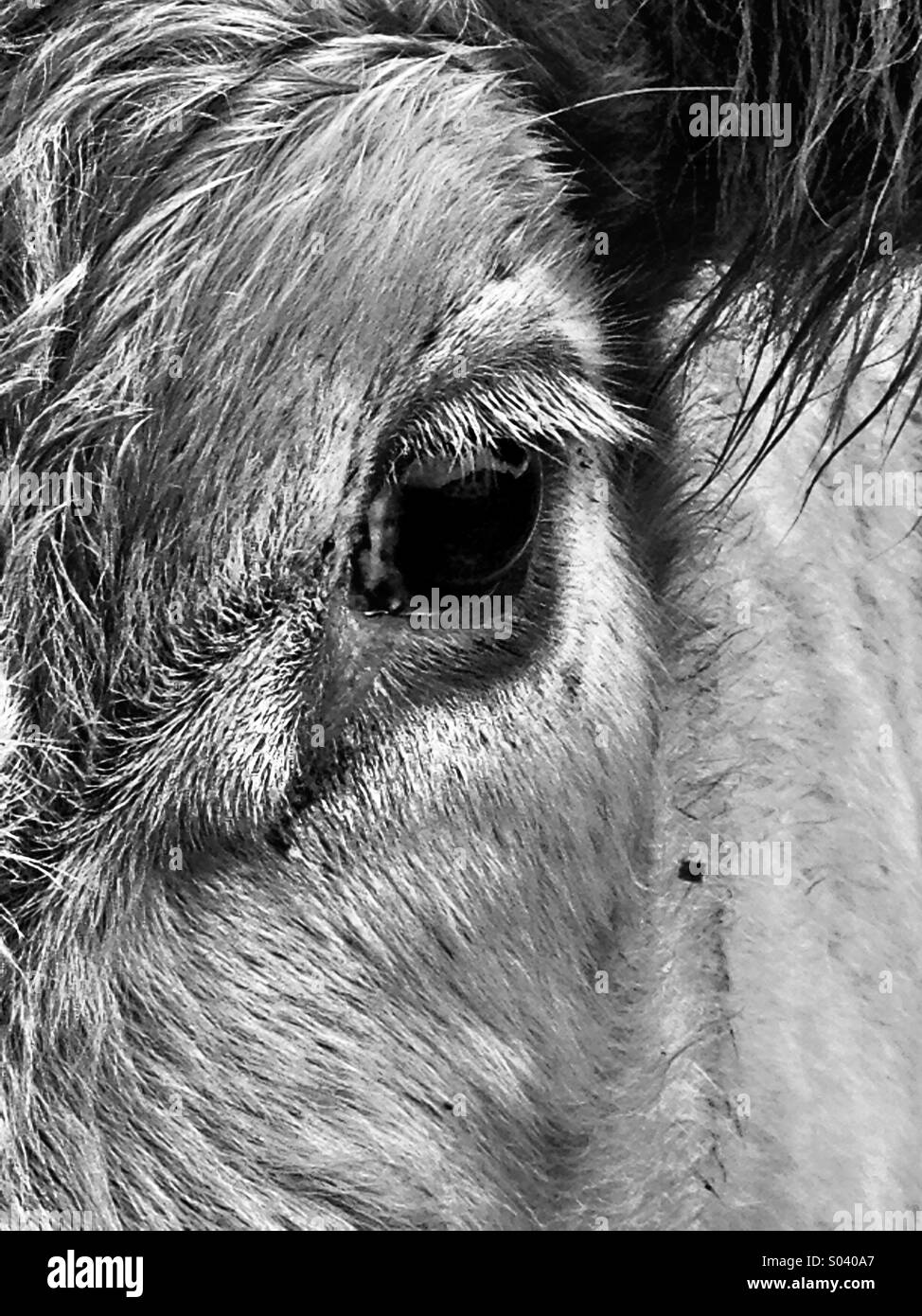 Texture - Smartphone Captured Stock Image