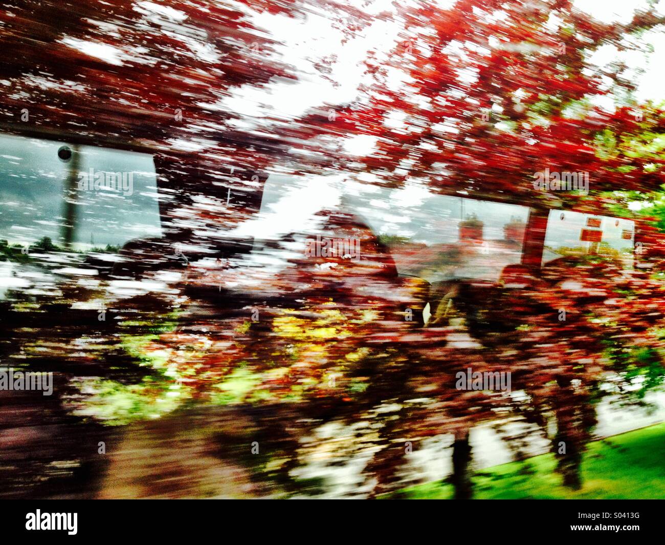 On the bus through trees - Smartphone Captured Stock Image