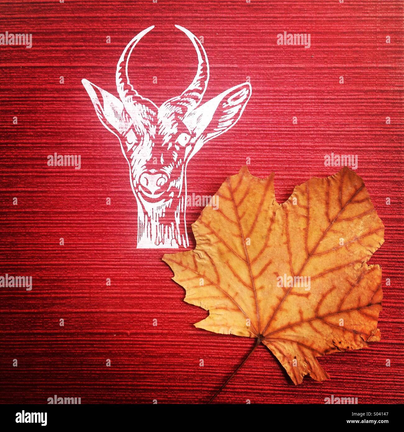 A leaf sits on top of a red book decorated with the etching of a white goat in 'Librero en Andanzas' used bookstore in Colonia Roma, Mexico City, Mexico - Smartphone Captured Stock Image
