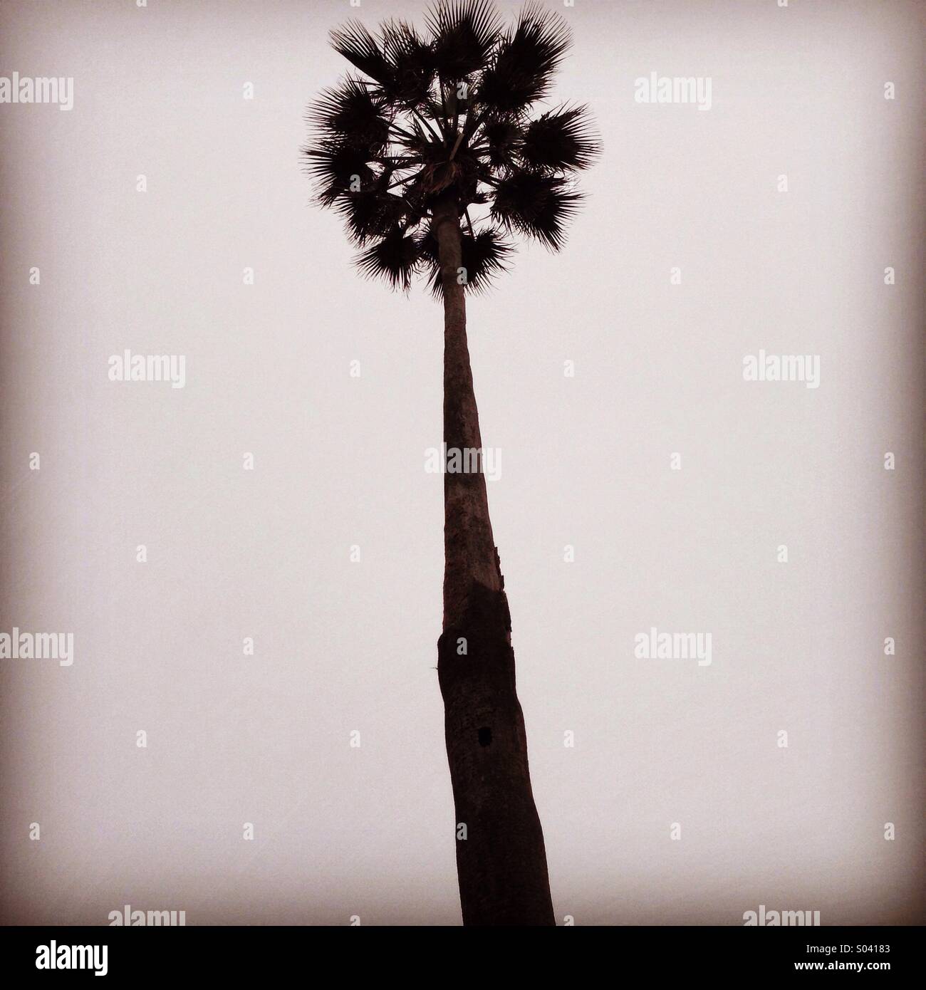 Tall silhouette hires stock photography and images Alamy