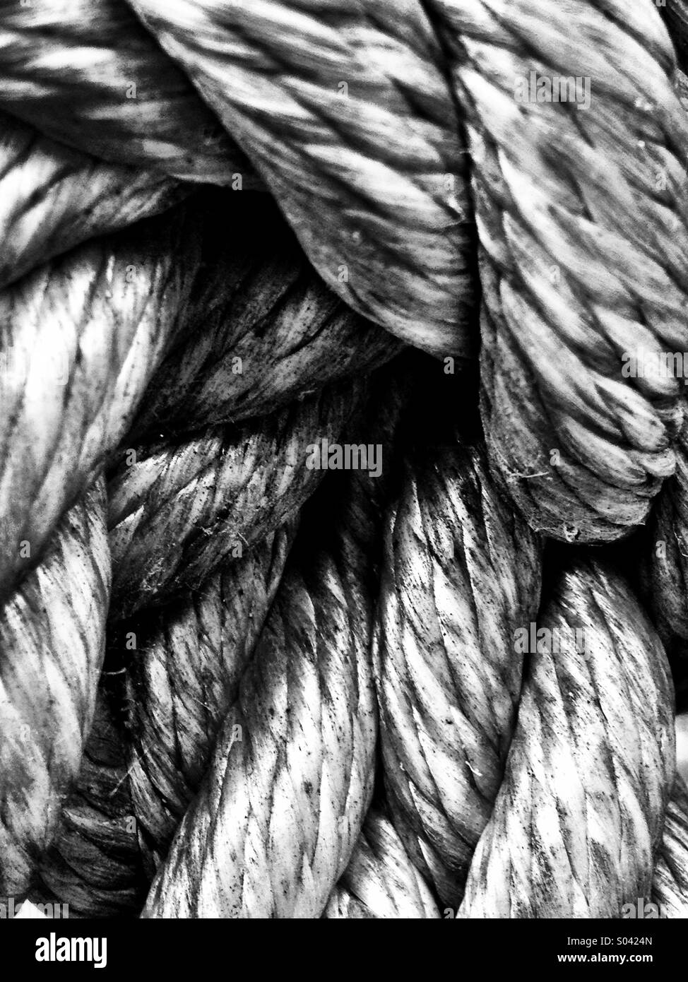 Get Knotted - Smartphone Captured Stock Image