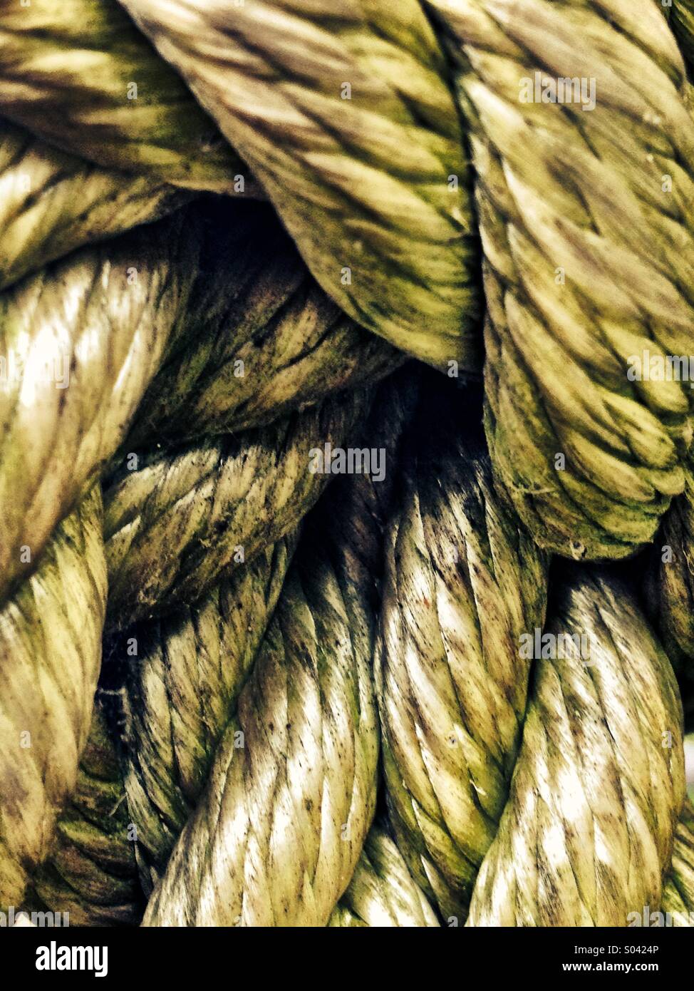 Knotted rope - Smartphone Captured Stock Image