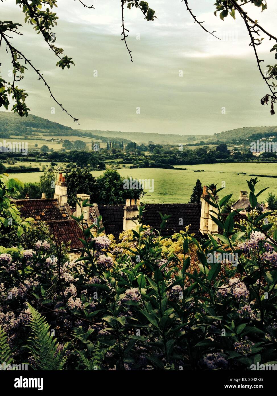 Rural Somerset England Stock Photo Alamy