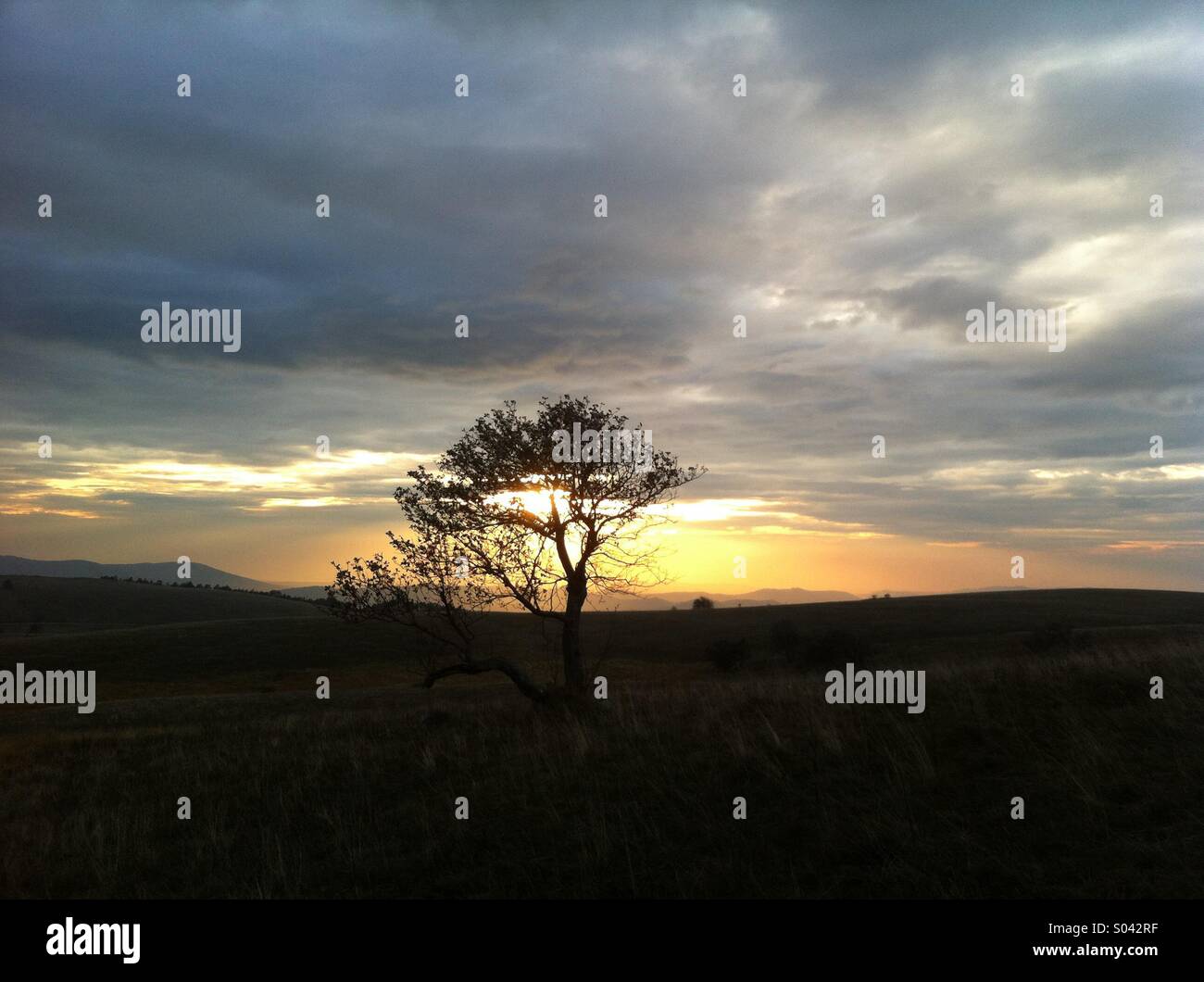 Sunset - Smartphone Captured Stock Image