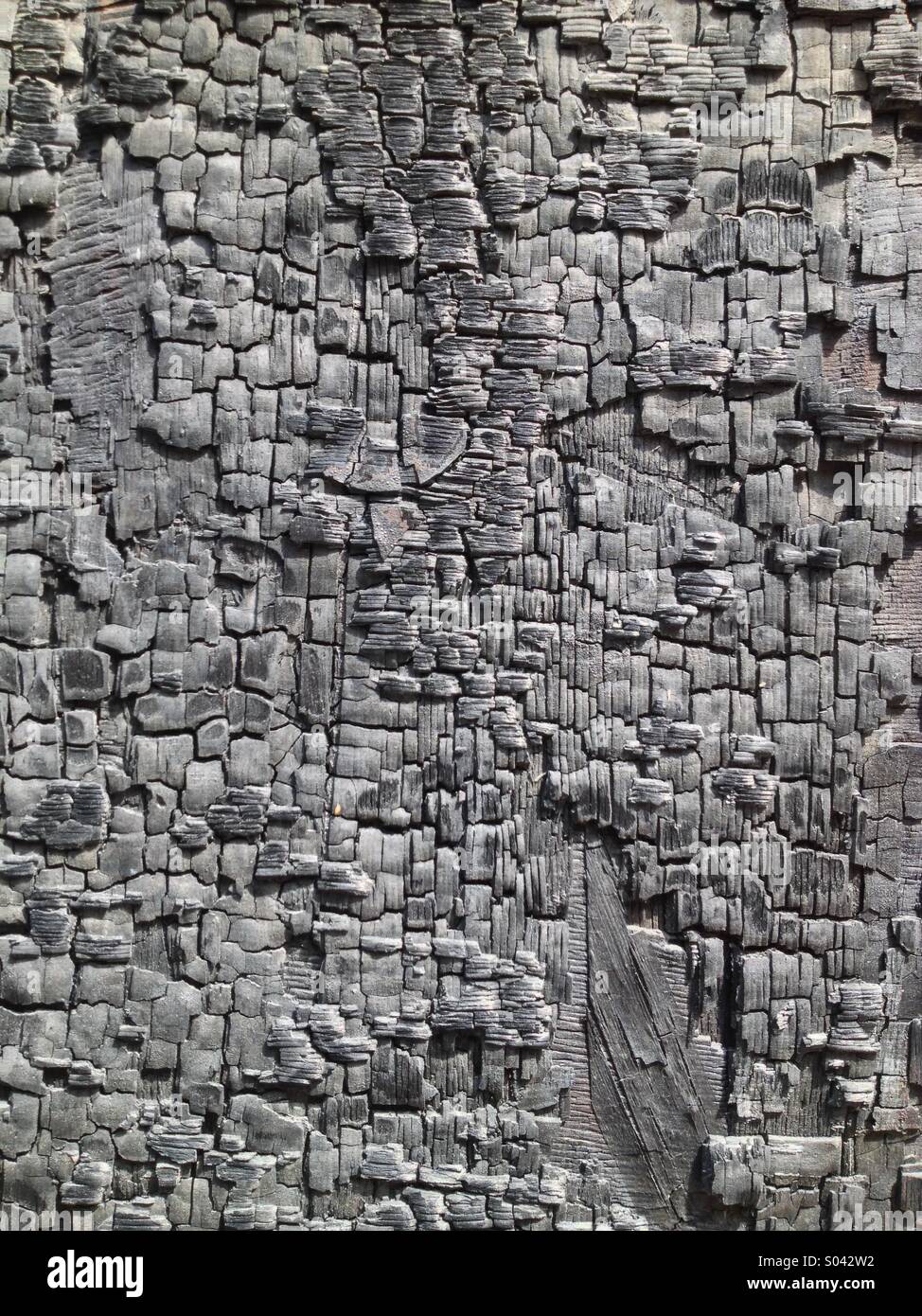 Burned wood panel Stock Photo Alamy