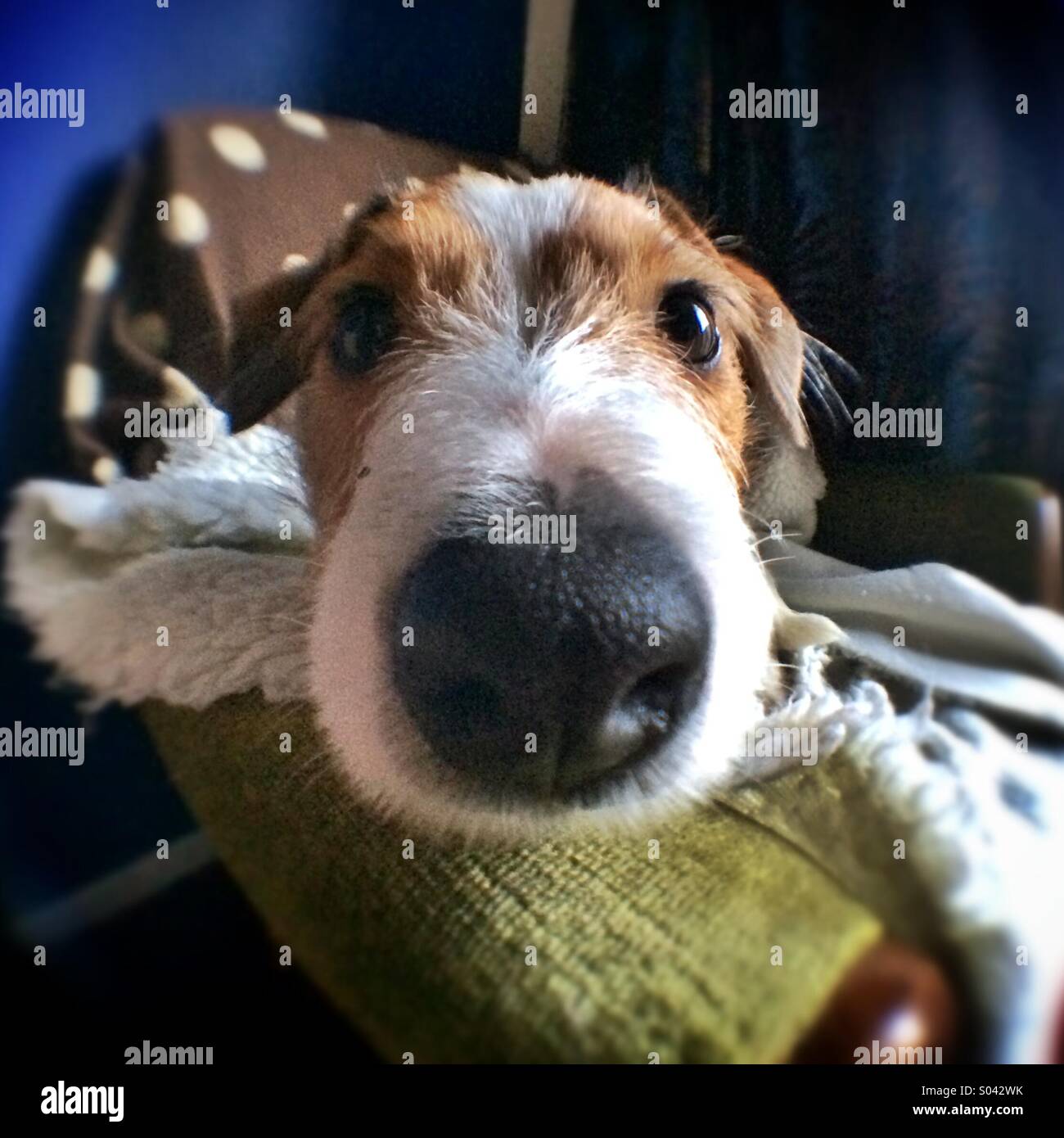 fisheye pictures fisheye pictures