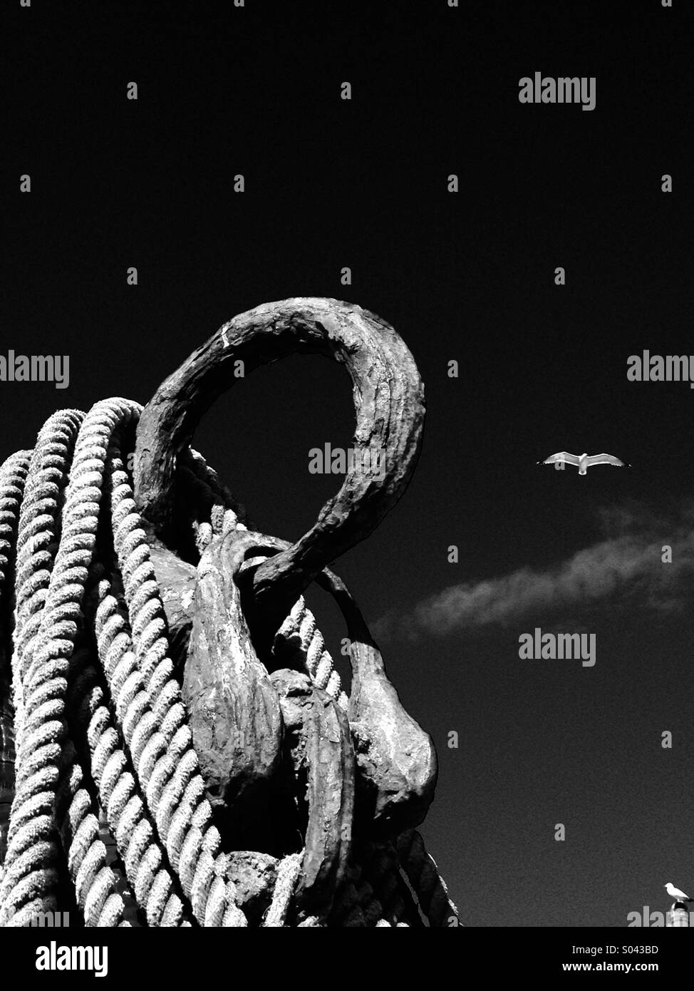 Fishing port - Smartphone Captured Stock Image