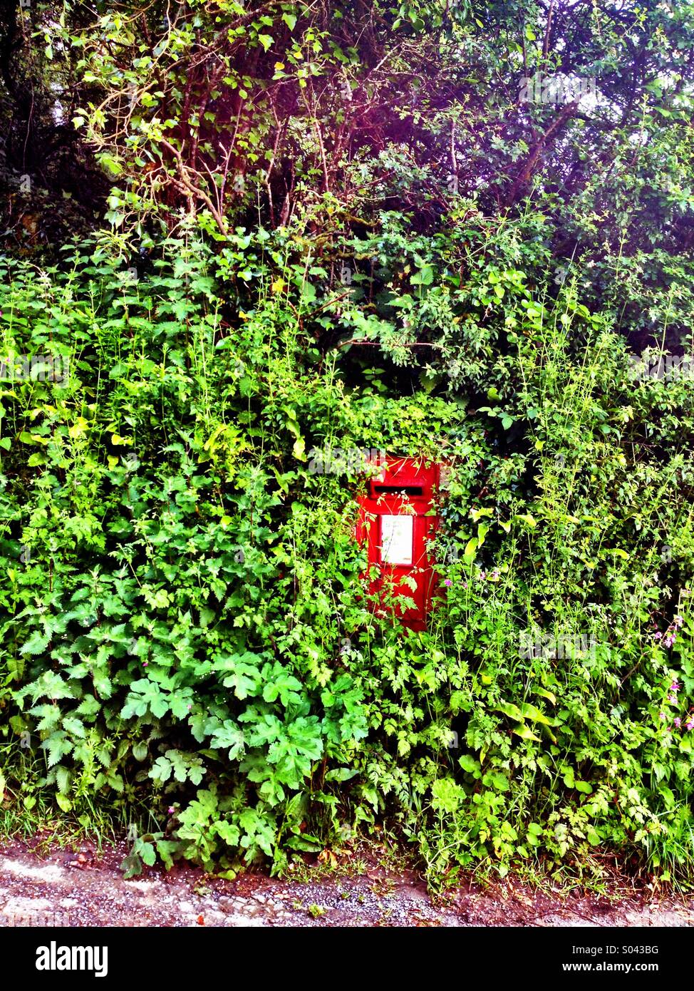 Post box in rural Cornwall - Smartphone Captured Stock Image