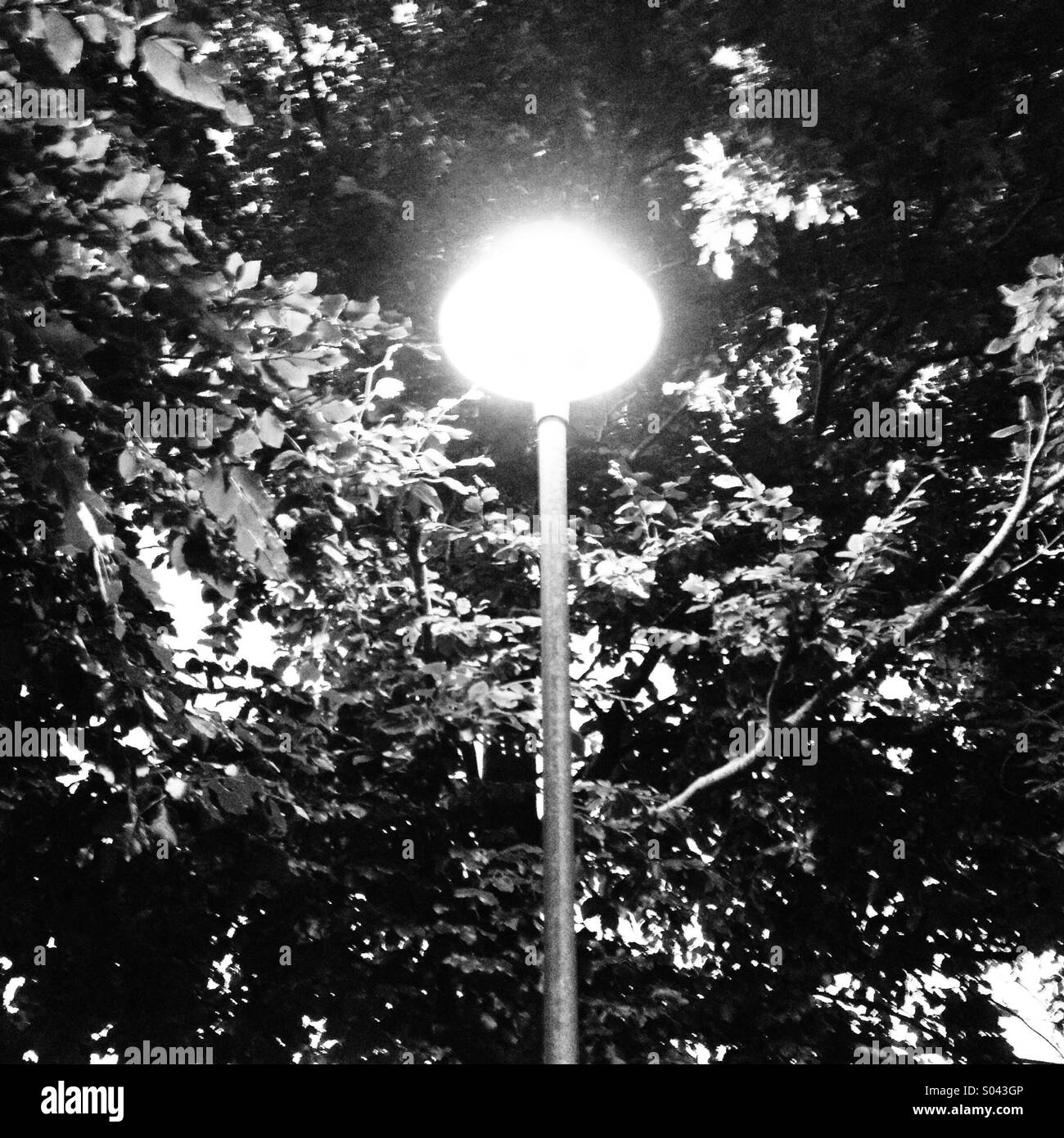 Street lamp Stock Photo
