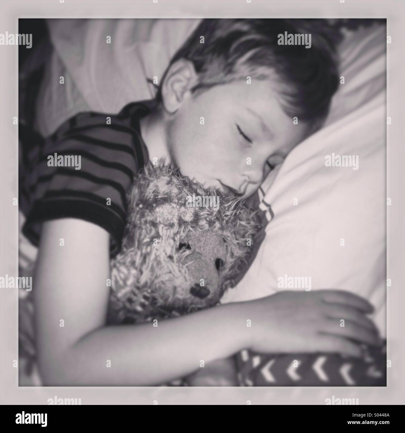 Sleeping boy with teddy bear. Stock Photo
