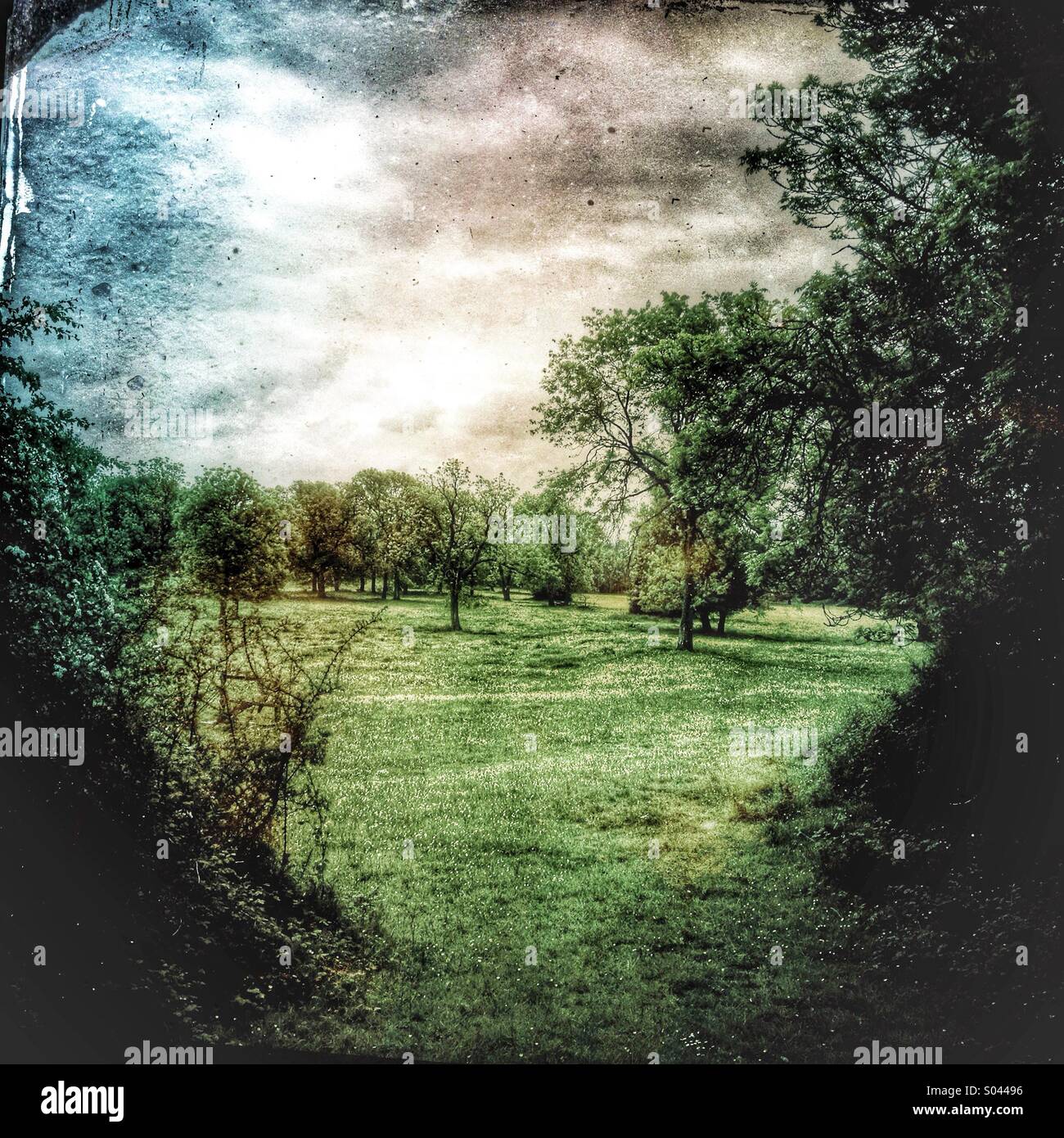 English countryside - Smartphone Captured Stock Image