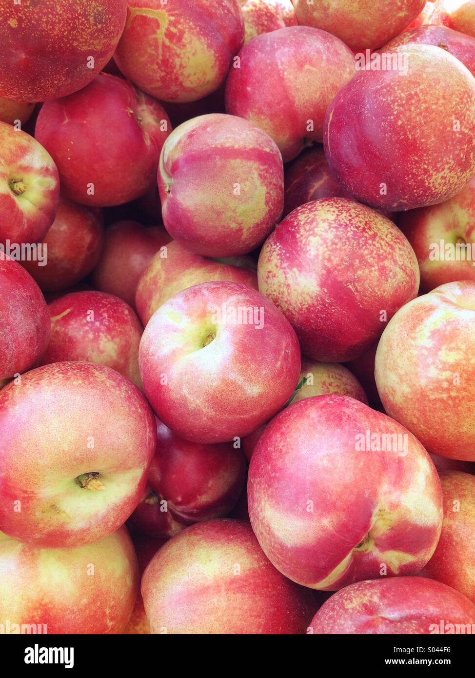 Organic Nectarines (smooth skin peaches) - Smartphone Captured Stock Image