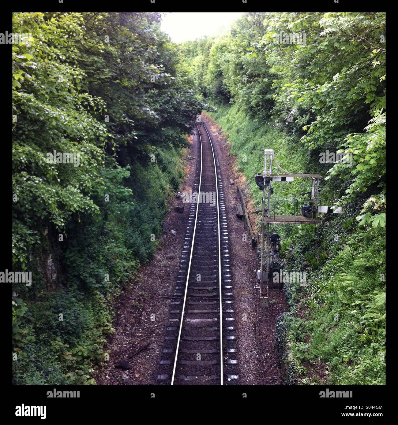 Steam railway tracks in woodland - Smartphone Captured Stock Image