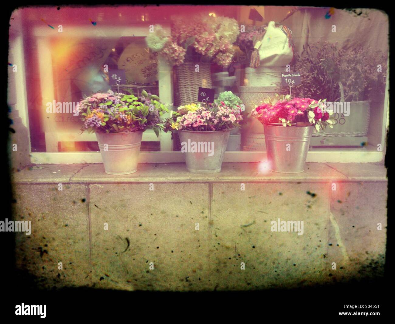 3 flower pots Stock Photo