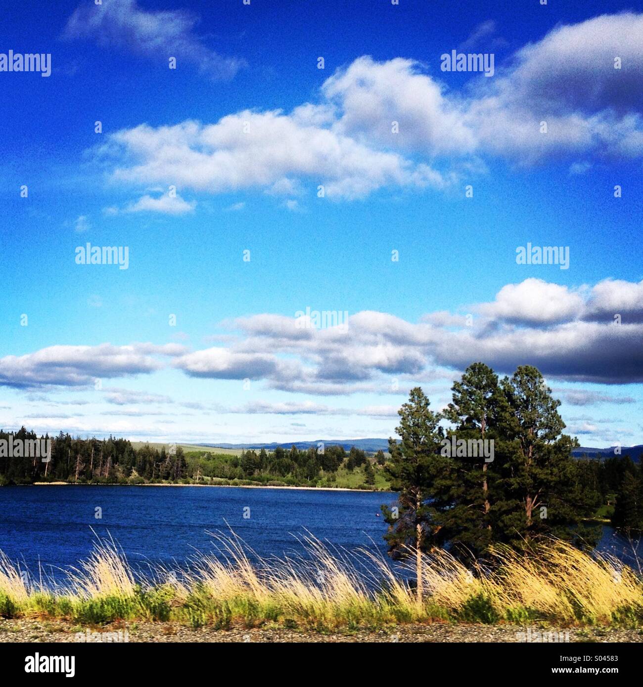 Small mountain lake, on blue sky with fluffy clouds kind of day. - Smartphone Captured Stock Image Small mountain lake, on blue sky with fluffy clouds kind of day. - Smartphone Captured Stock Image