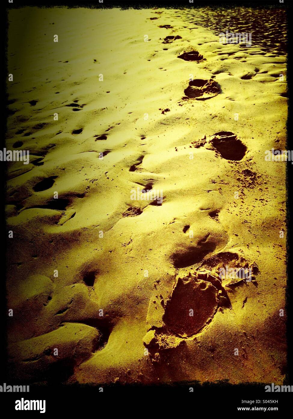 Footprints in sand Stock Photo Alamy