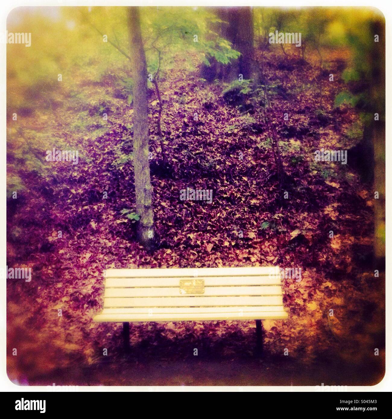 Lone bench hi-res stock photography and images - Alamy
