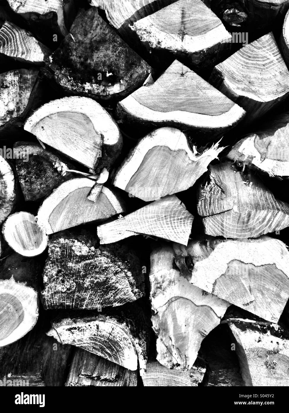 Wood pile - Smartphone Captured Stock Image