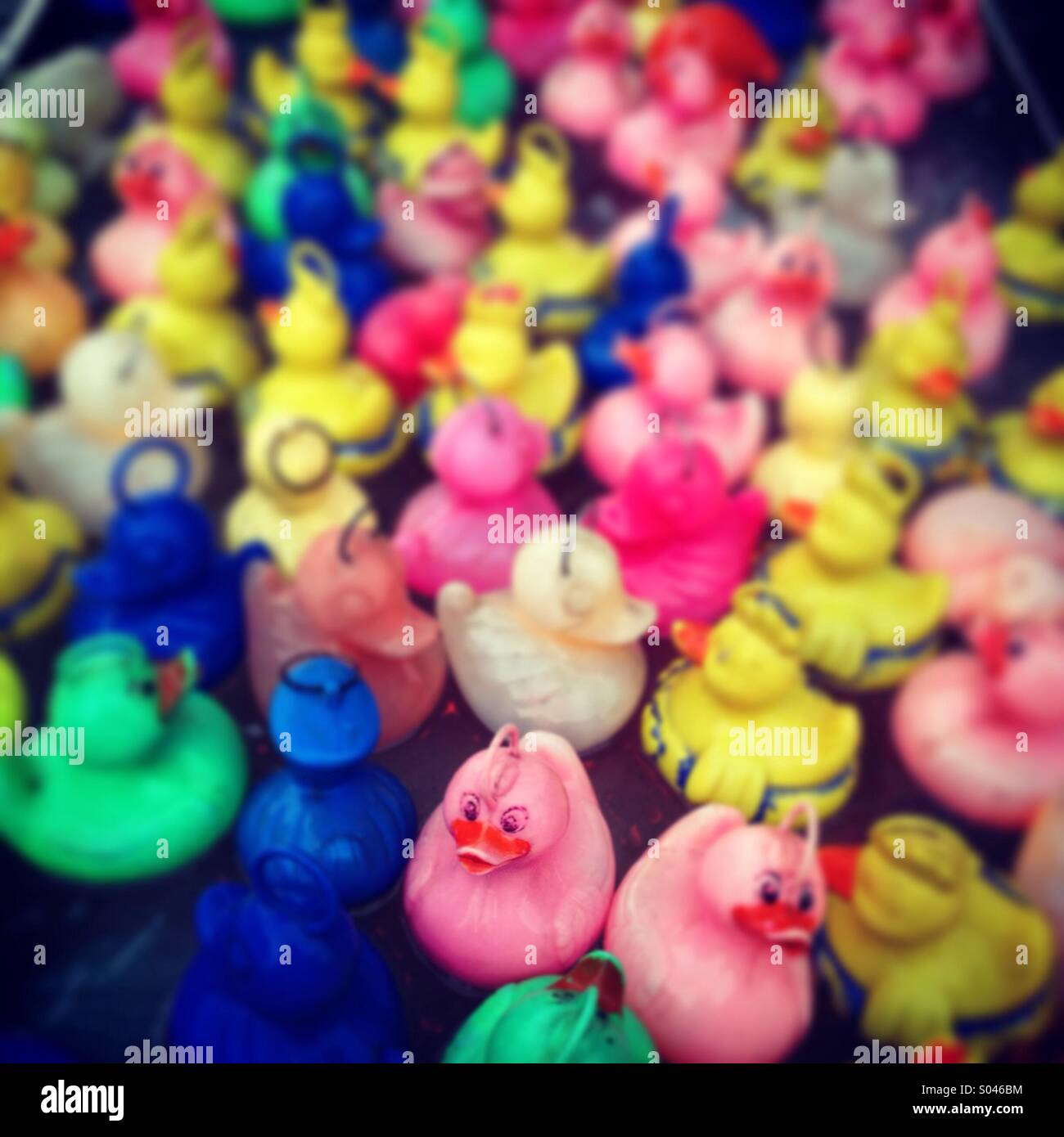 Hook a duck Stock Photo Alamy